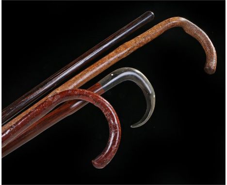 Collection of four walking sticks, to include a horn handled example, a white metal collar example, a cane and another walkin