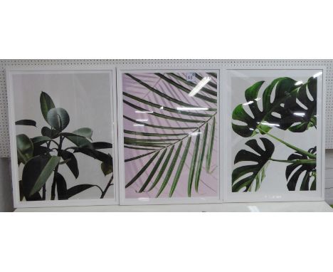 CONTEMPORARY SCHOOL PENTAPTYCH OF BOTANICAL PRINTS, various, framed and glazed, 83cm x 63cm. (5) 