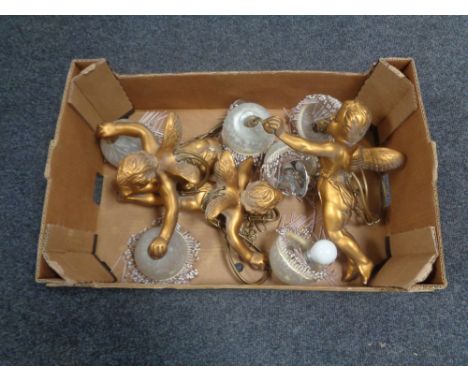 A box containing three gilt chalk cherub light fittings with glass shades.  