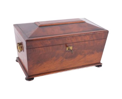 19th century sarcophagus tea caddy, with brass lion mask ring handles, 31cm across