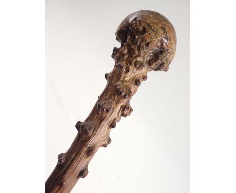 A 19th century hawthorn walking stick with large knurled terminal 