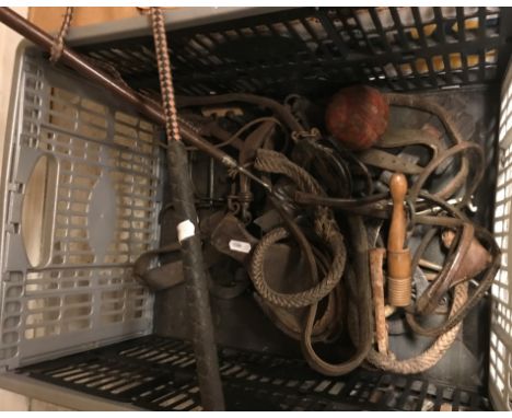A collection of various equestrian items to include tack, lunging whip, old leather stirrup, etc, together with a mahogany ha
