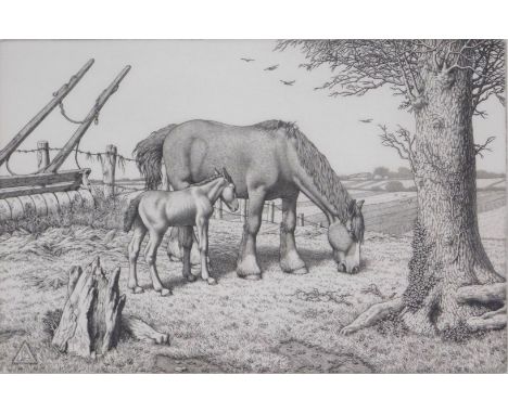 Stanley Anderson (1884-1966). Daisy and her Foal, dry point etching, signed in pencil to margin, 17cm x 26cm.