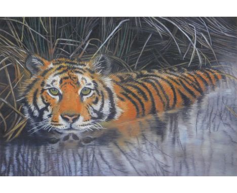 After Lindis Maria Colam (20thC). Siberian tiger in river, giclee print, 28cm x 39cm, framed and glazed. 