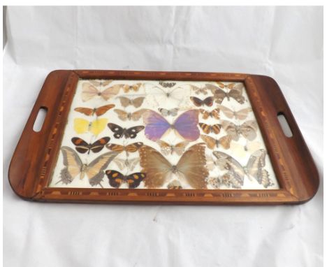 Vintage two-handled butterfly Tray of rectangular form, 20 >  wide  