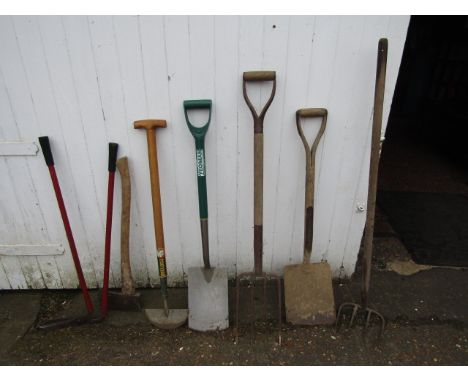 Garden tools and axe
