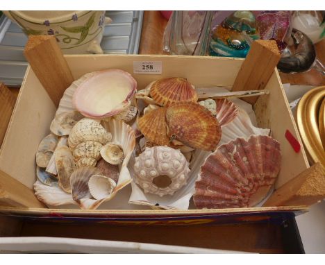 Box of shells