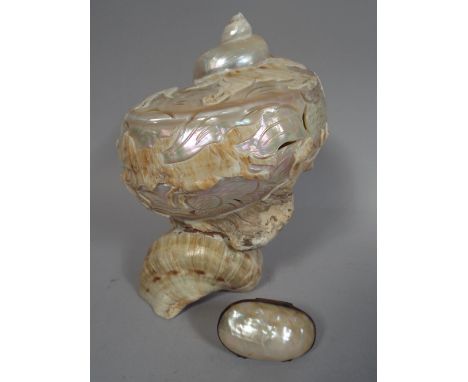 A Carved Shell Table Lamp and A Small Mother of Pearl Purse.