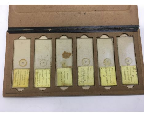 Six microphotograph microscope slides by J.B. Dancer, various subjects.