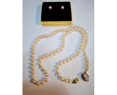 A string of pearls with yellow metal and cameo clasp, tests as 14ct and a pair of pearl and yellow metal earrings, tests as 1