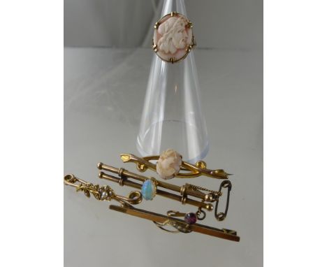 A Collection of Miscellaneous Brooches, including opal, seed pearl, garnet and cameo together with a 9 ct gold cameo ring, si