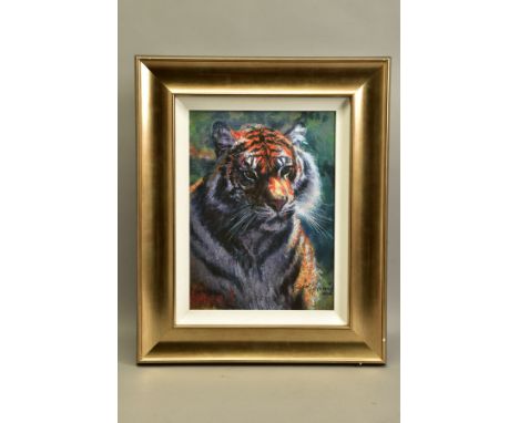ROLF HARRIS (AUSTRALIA 1931) ' TIGER IN THE SUN', a signed limited edition print on canvas, 157/195 with certificate, approxi