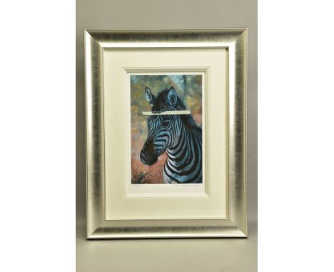 ROLF HARRIS (AUSTRALIA 1930) 'YOUNG ZEBRA', a signed limited edition print 72/195, with certificate, approximate sizes - imag