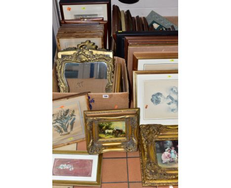 A QUANTITY OF PRINTS ETC, subjects include butterflies and moths, birds, Bechoff-David vintage fashion prints, Glenda Rae pri