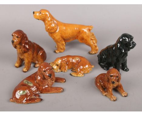 Six The Morten Studio ceramic Cocker Spaniel figures.  