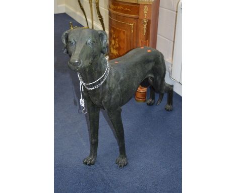 A RESIN MODEL OF A STANDING GREYHOUND, approximate height 79cm (both back legs showing signs of repair)