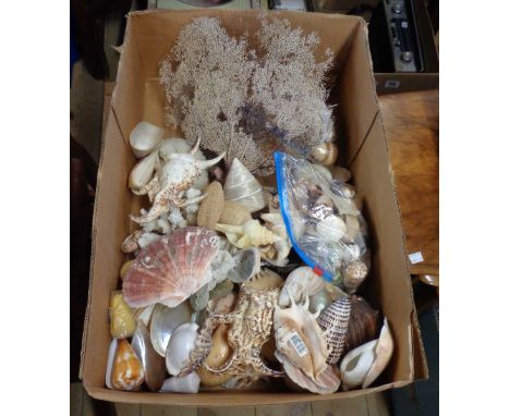 Two boxes and a crate containing a large quantity of vintage shells