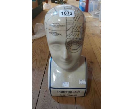 A modern ceramic phrenology head with crackle glaze finish