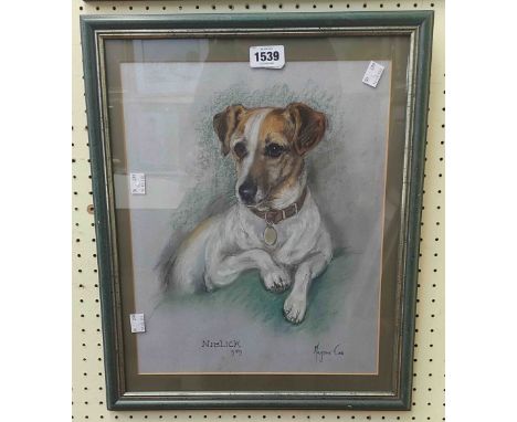 †Marjorie Cox: a mixed media portrait of 'Niblick' the Jack Russell terrier - signed and dated 1989 - signed and titled in th