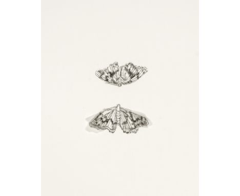 Smith, KikiNürnberg, geboren 1954Blattformat: 50 x 42 cm, o. R.3 Bl.: "Bee", 1998; "Fly", 1998; "Moth", 1998. Lithografie mit