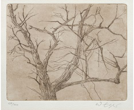 Eger, WilhelmWarnsdorf/Böhmen, geboren 193212 x 14,7 cm, o. R.Baum, um 2008. Radierung auf Bütten. In Bleistift unten rechts 