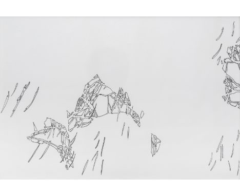 Ströbel, KatrinPforzheim, geboren 1975Je 21 x 29,5 cm, R."Wald", 2005. Faserstift auf Papier. Zweiteilige Arbeit. Beide in Ku