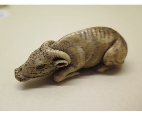 A well carved bone water buffalo Netsuke, 6.5cm long, in good condition 