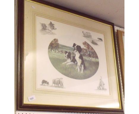 Nigel Hemming - limited editiion print of sheep dogs - 39/49