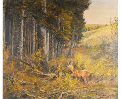 Willi Lorenz1901 Köln - 1981 - "Reh im Wald" - Öl/Lwd. 60 x 70,8 cm. Sign. r. u.: Willi Lorenz. Rahmen. Farbverluste. Leicht 