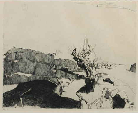 Horst Janssen1929 Hamburg - 1995 Hamburg - Landschaft, aus "7 Radierungen" - Radierung/Papier. 27/30. 39,5 x 49,5 cm, 52,5 x 