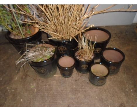 A collection of eight Heritage Garden black ceramic garden pots. 