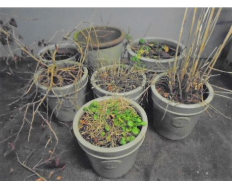Six Heritage Garden green ceramic garden pots (one A/F)along with another similarly coloured garden pot