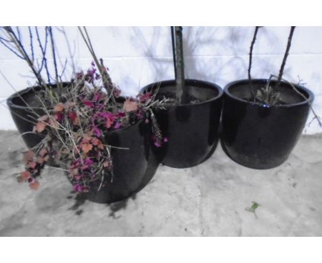 Four large ceramic glazed black garden pots.