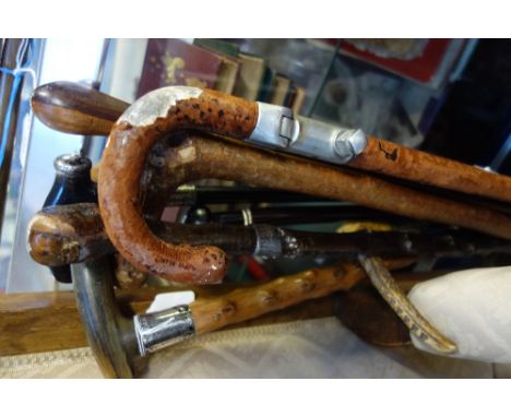 A COLLECTION OF WALKING STICKS, a leather covered shooting stick and similar