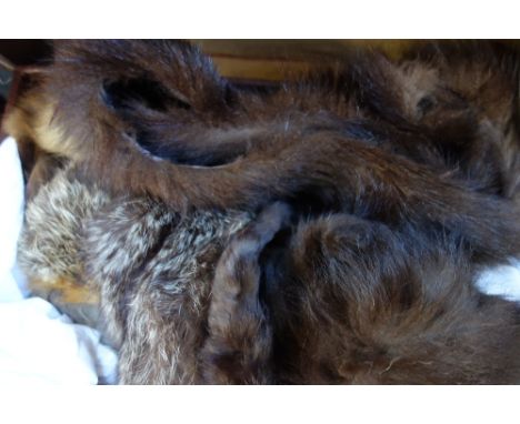 A COLLECTION OF FUR COLLARS AND STOLES contained in a vintage suitcase