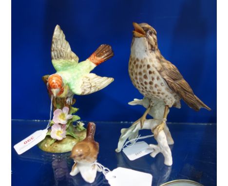 A CROWN STAFFORDSHIRE STUDY OF A MELBA FINCH, a Goebel thrush and a Goebel wren (3)
