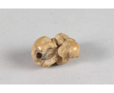 A JAPANESE CARVED NETSUKE OF A COILED ANIMAL, 4cm.