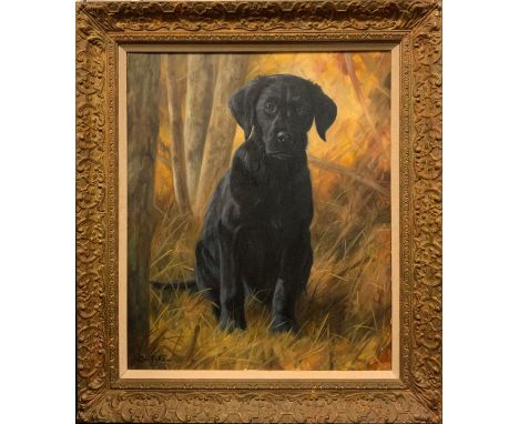 John Trickett, Black Labrador puppy, Autumnal light , signed, oil on canvas, 60.5cm x 50.5cm 
