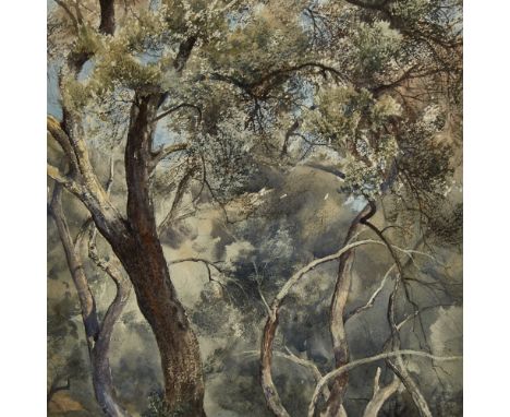 R Lightbody, watercolour, wooded landscape, signed, 15" x 10", framedGood condition 