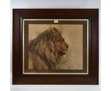 Frederick William Burton (1816 - 1900), pencil/pastel on paper, head of a lion, signed with monogram, 18" x 22", framedPaper 