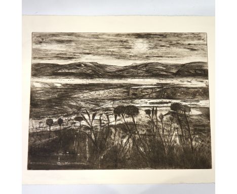 Contemporary British School, large etching, landscape, unsigned proof, image 18" x 24", unframedGood condition 