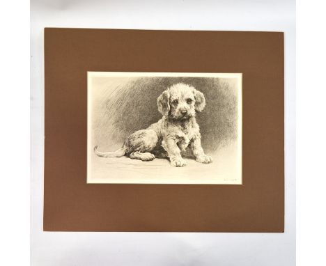 Herbert Dicksee, etching, Dandie pup, signed in the plate with date 1927, plate size 9.5" x 14", mountedGood condition 