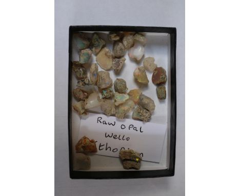 Collection of Raw Opal Wello Ethiopian 