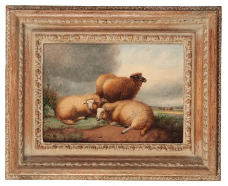 MANNER OF THOMAS SIDNEY COOPER (1803-1902) Study of three sheep in a pasture labelled verso ascribing artist as 'Dr Corfield'