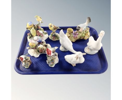 A tray of ceramic bird ornaments including Nao, Royal Adderley and Thorley china 