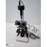 AmScope Stereo Zoom Microscope