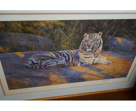 Large print - The great white tiger by Anthony Gibbs. Signed in pencil with blind stamp