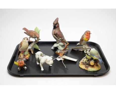 A selection of decorative ceramic bird figures, including: a Royal Worcester ‘Thrush’; a Royal Crown Derby ‘Blue Tit and Chic