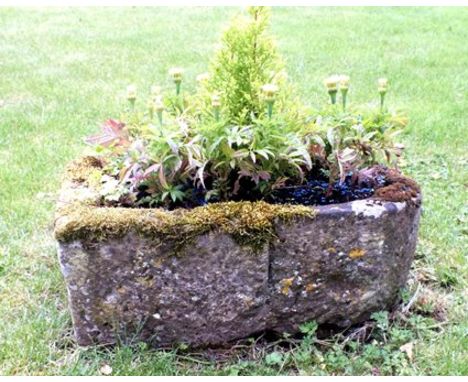 A 19th century hewn stone garden trough, bowed to one end, 69cm long, with plants 