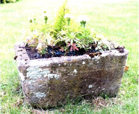 A 19th century hewn stone garden trough, 62cm long, with plants 